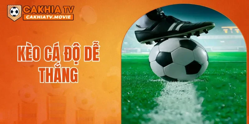 Kèo Cá Độ Dễ Thắng
