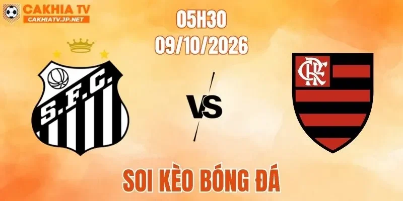 Santos Vs Flamengo